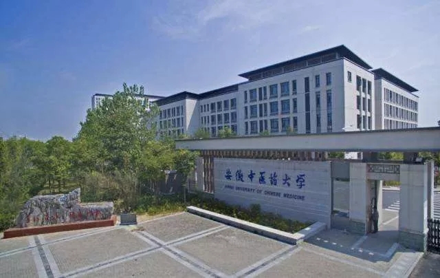 1606805876562686.jpg 640.webp (6).jpg