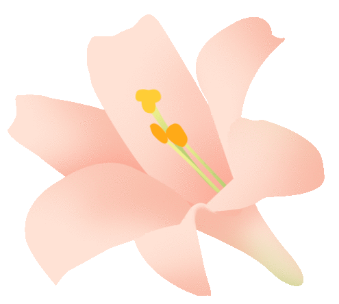 【動態】春日有約 遇見“莓”好—— 安徽智恒信女神節采摘活動 【動態】春日有約 遇見“莓”好—— 安徽智恒信女神節采摘活動